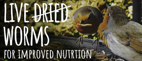 Live Worms for Improved Nutrition