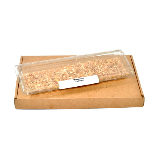 Waxworms | 15g tub